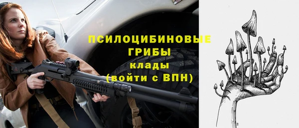 сатива Михайловск