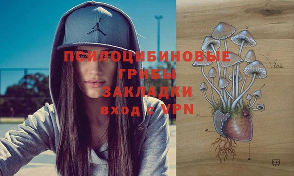 сатива Михайловск