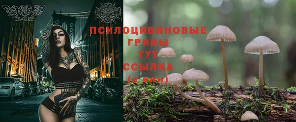 тгк Михайловка