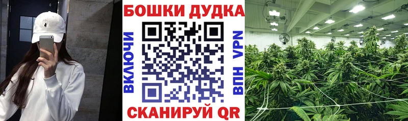 Шишки марихуана индика Иланский